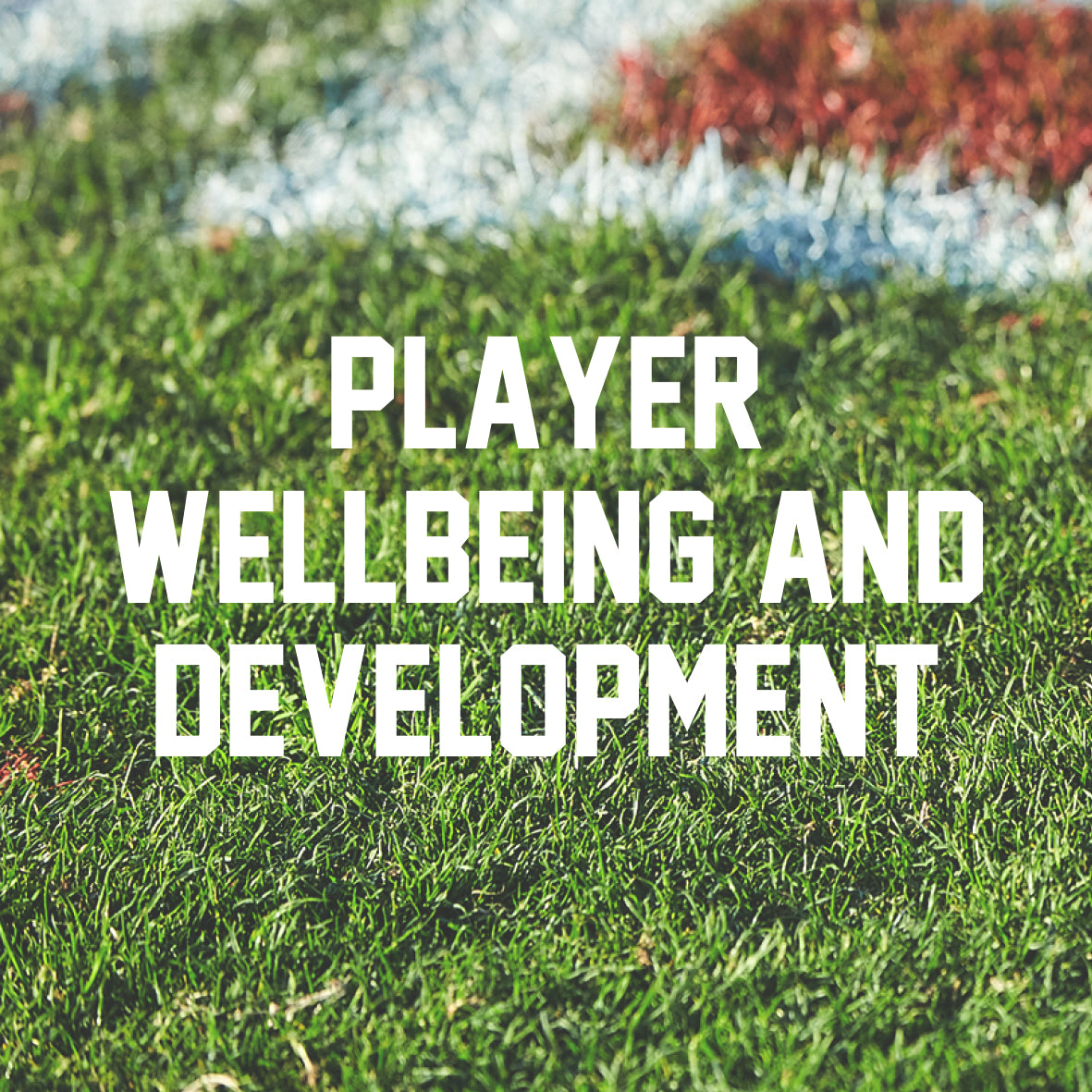Professional Certificate Player Wellbeing and Development