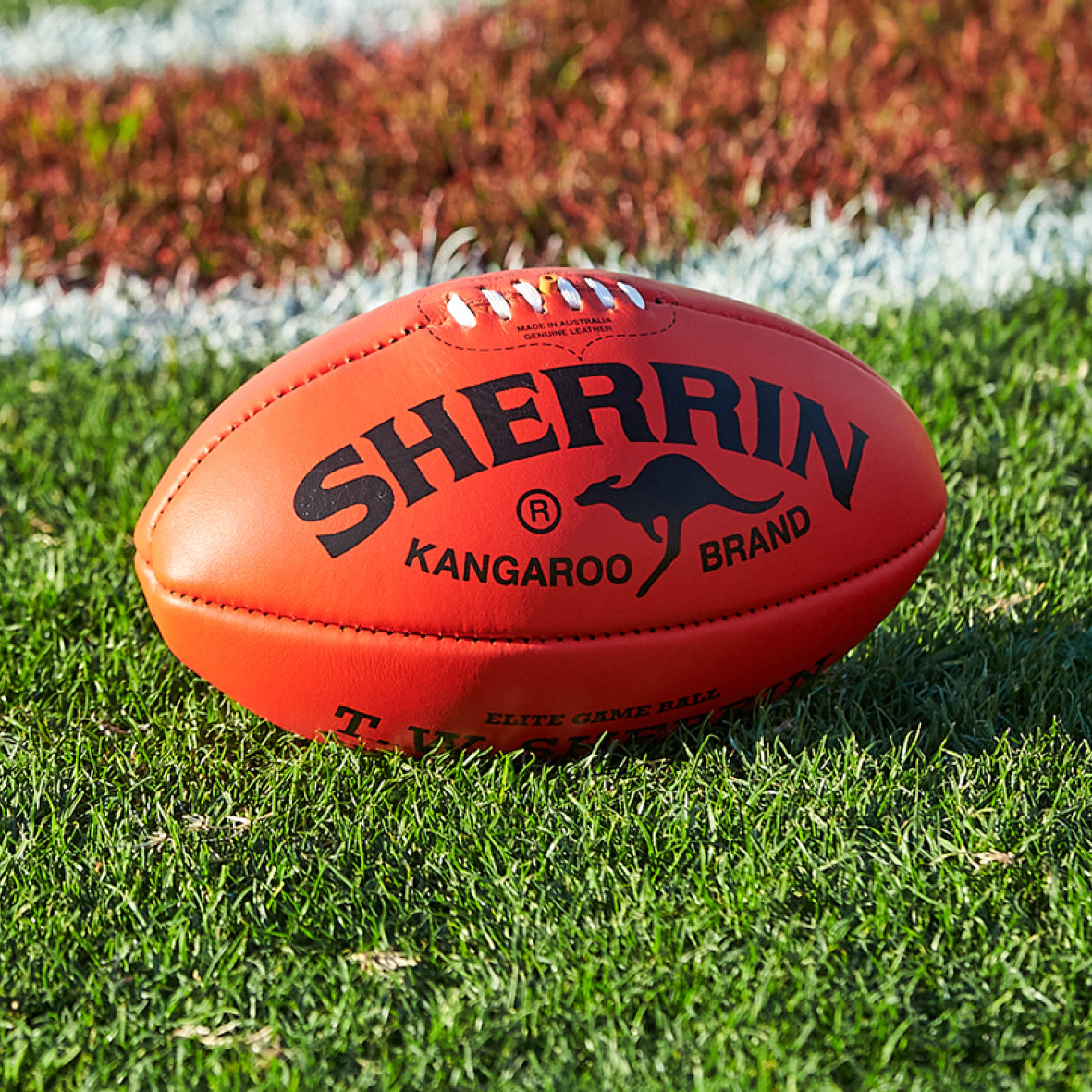 Advanced Certificate in Creating AFL Game Plans